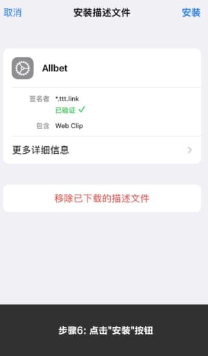 欧博iOS版APP下载与安装全流程示意图6