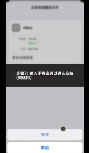 欧博iOS版APP下载与安装全流程示意图7